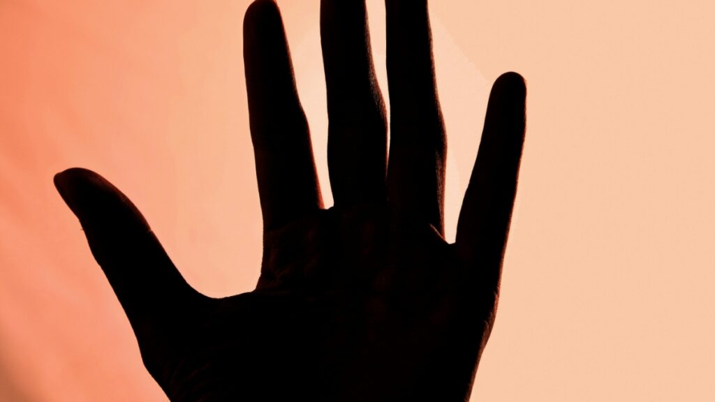 मुजफ्फरपुर: बेंगलुरु से लौटे युवक का शव बांसवाड़ी में मिला, टहलने निकला था घर से