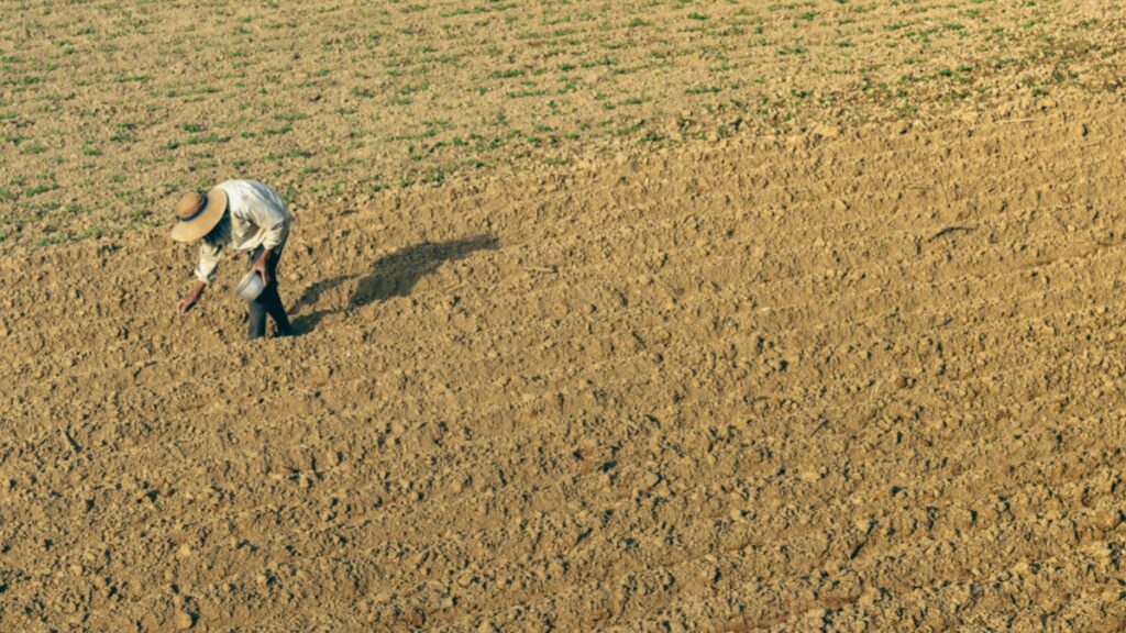 प्रधानमंत्री किसान सम्मान निधि (PM-KISAN) योजना 2026: पूरी जानकारी, लाभ, पात्रता और ऑनलाइन आवेदन