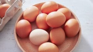 FDA Recalled Eggs List 2026: Complete Details and Consumer Safety Guide 20260723_222325