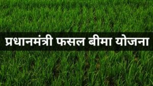 प्रधानमंत्री फसल बीमा योजना 2026: जिलेवार सूची, क्लेम प्रक्रिया और मुआवजा 20260804_170134